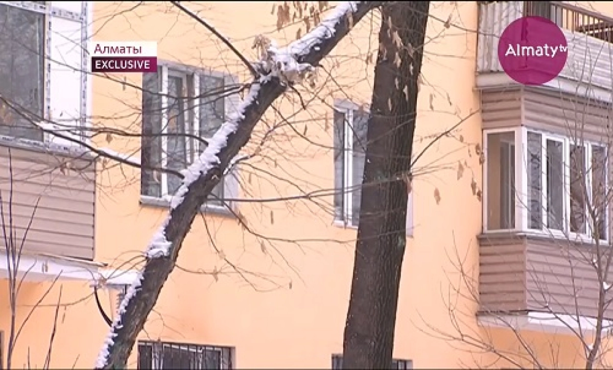Черные риэлторы предстали перед судом в Алматы 