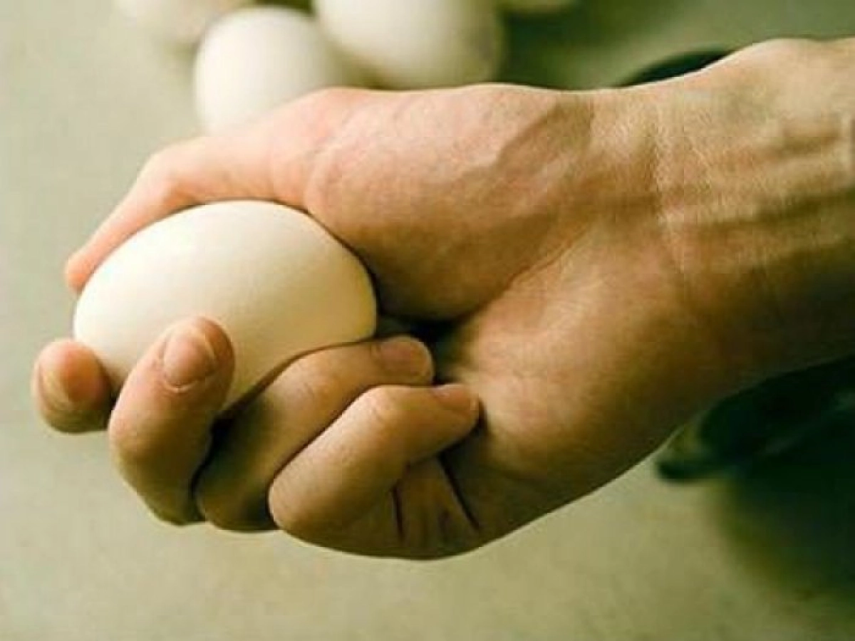 Желіде екі оқушыны байлап, үстеріне жұмыртқа мен ұн шашқан видео пайда болды (ВИДЕО)