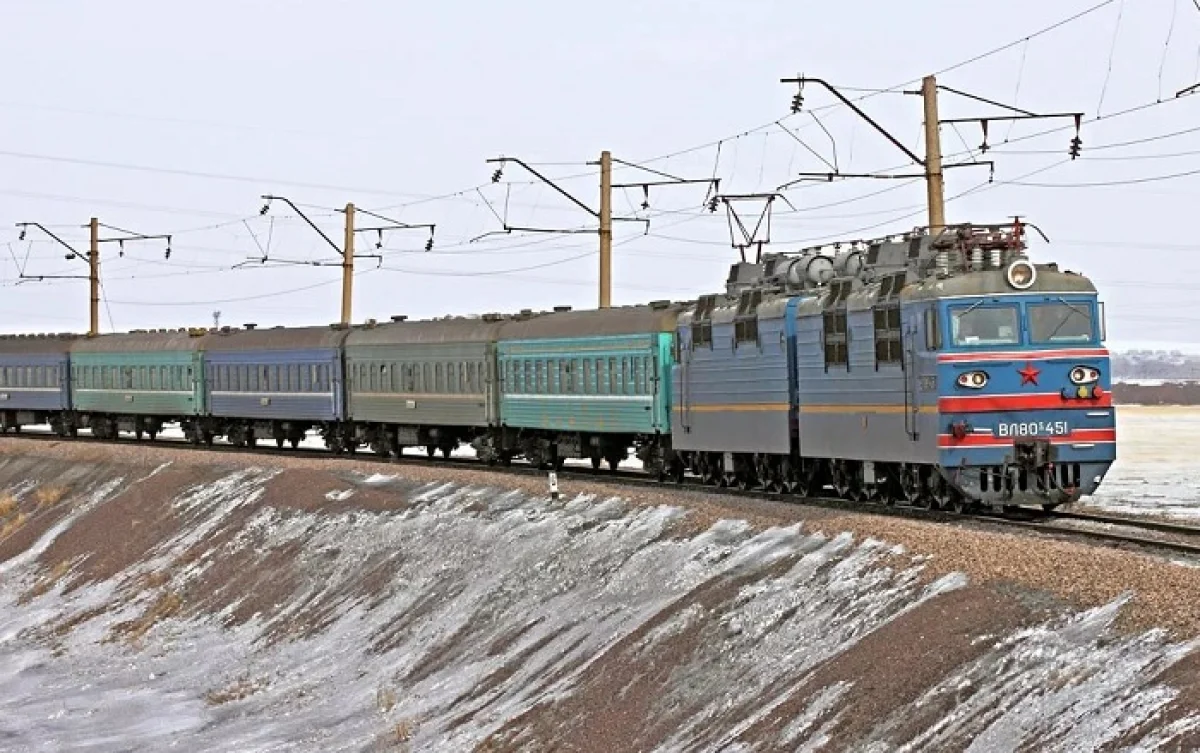 Есірткі тасушы шекарашының итін алдай алмайды