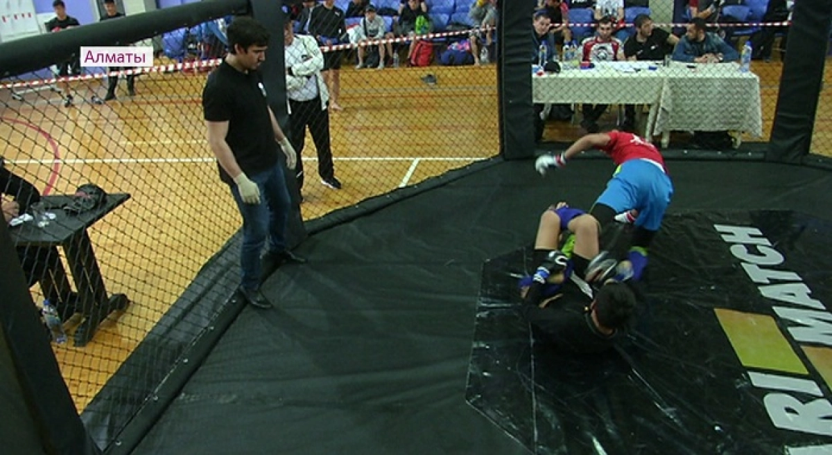 Алматыда MMA аралас жекпе-жектен халықаралық турнир өтті