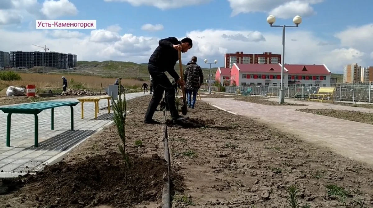 На субботник в Усть-Каменогорске вышли сторонники Амиржана Косанова