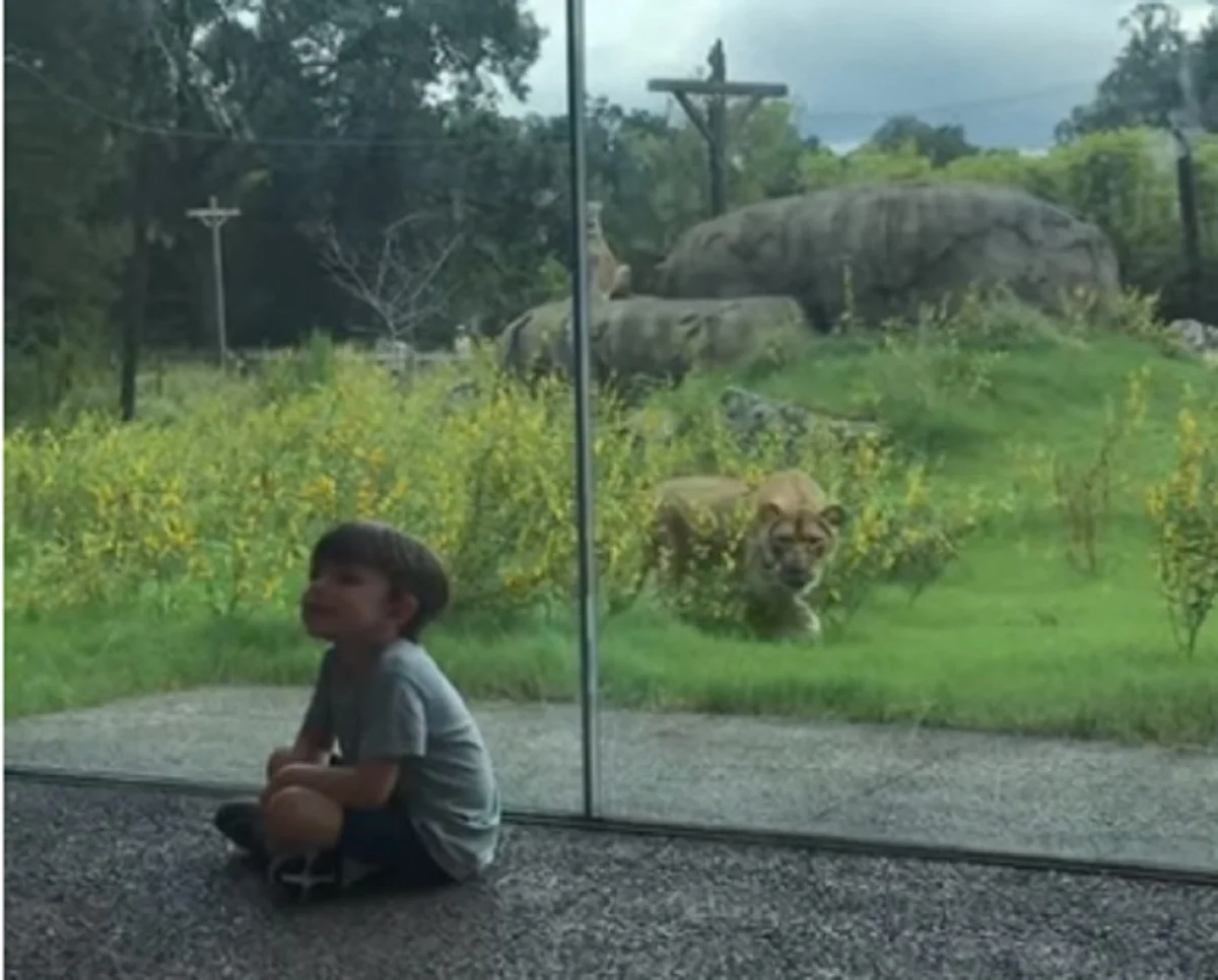 Тайра Мур порно фотосуреттер