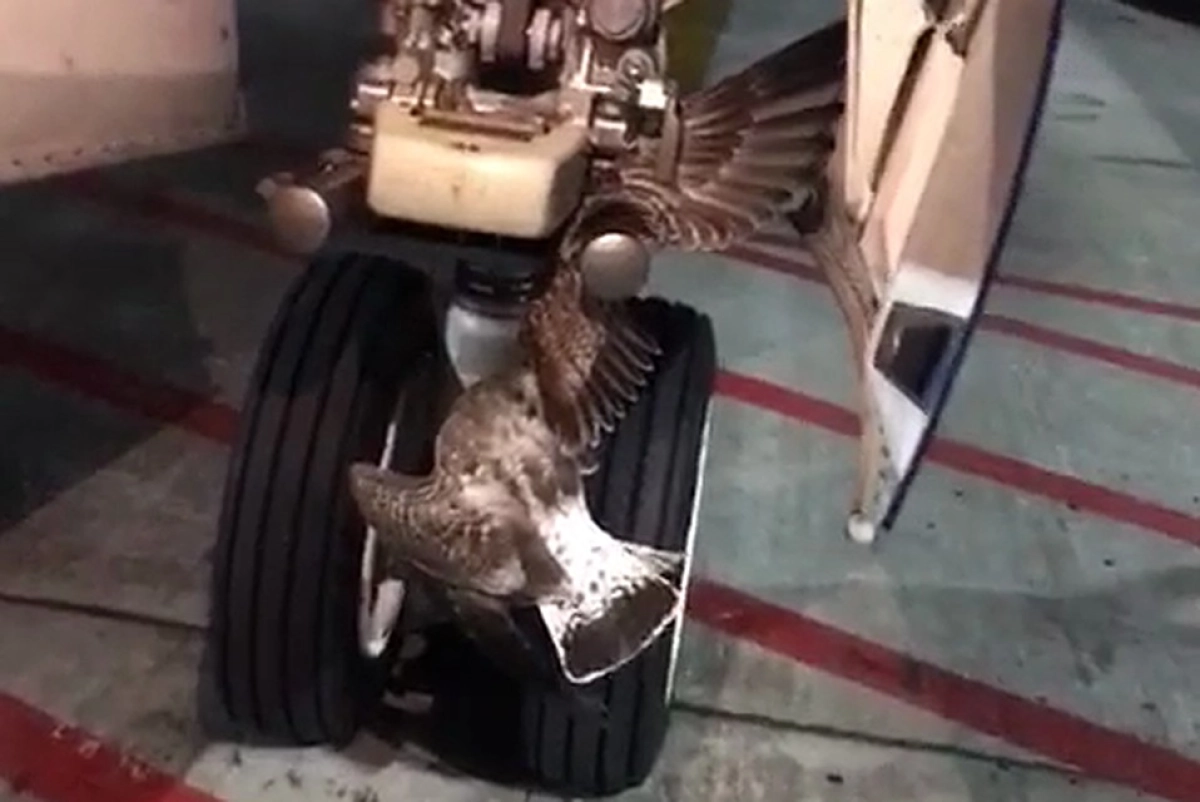 Боинг 737-800 ұшағы Мәскеу әуежайына шұғыл қонуға тура келді