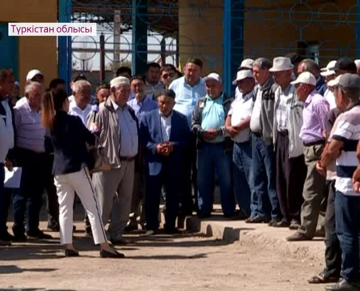 Түркістан облысында шаруалар субсидия туралы заңға өзгеріс енгізілуін талап етуде