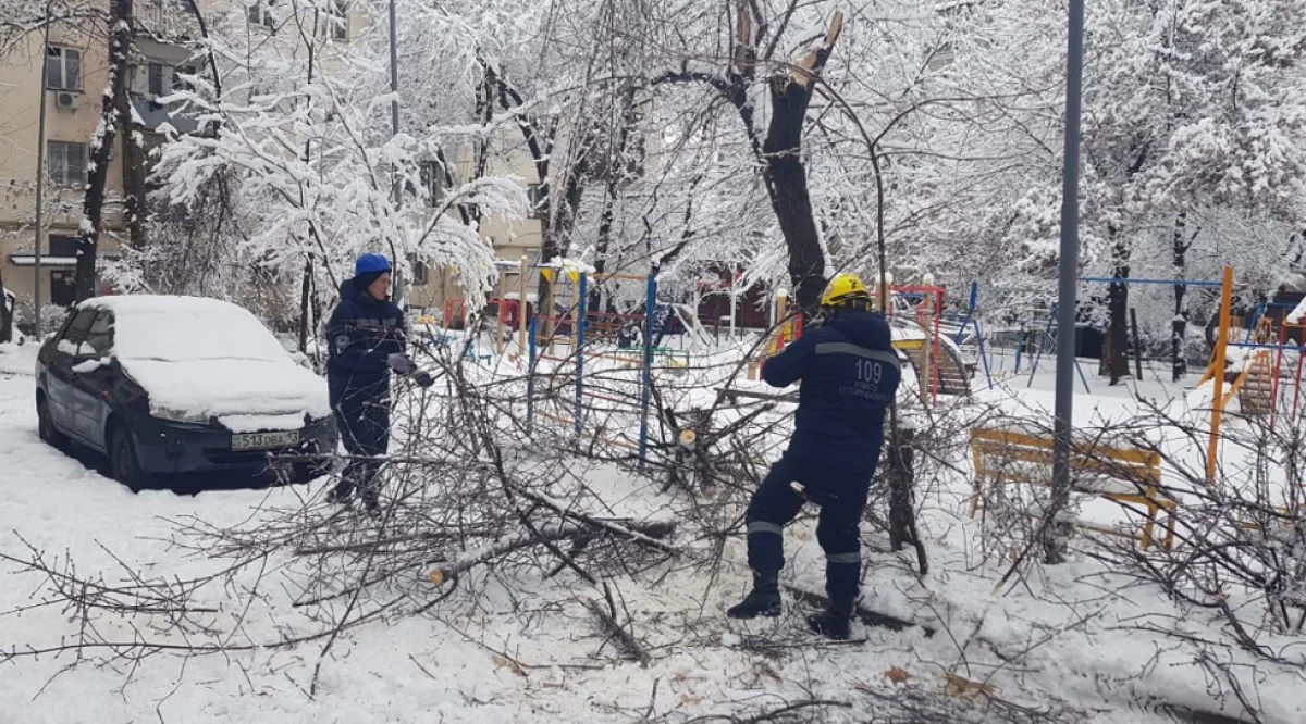 Служба спасения Алматы