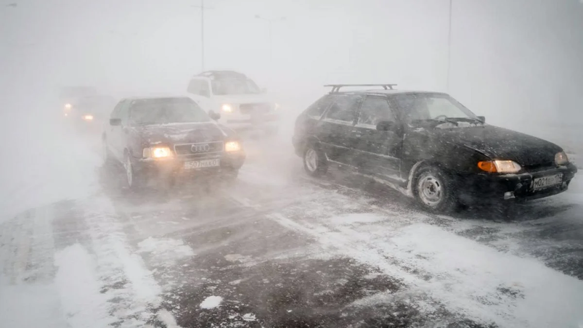 Фото: Александр Куприенко (Tengrinews.kz)