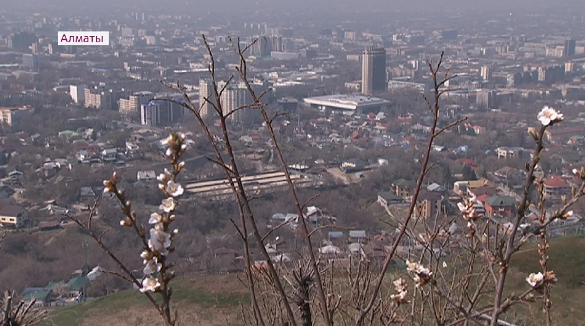 стопкадр Almaty.tv