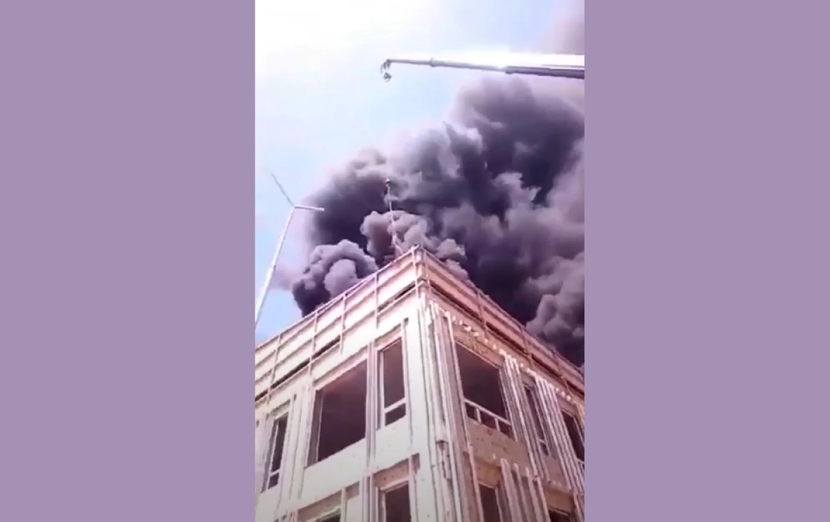 стоп-кадр