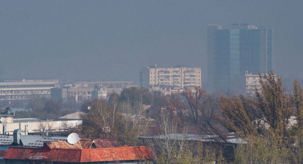 © Sputnik / Тимур Батыршин
