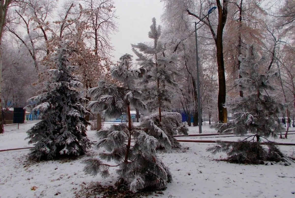 фото Victor Glutsenko