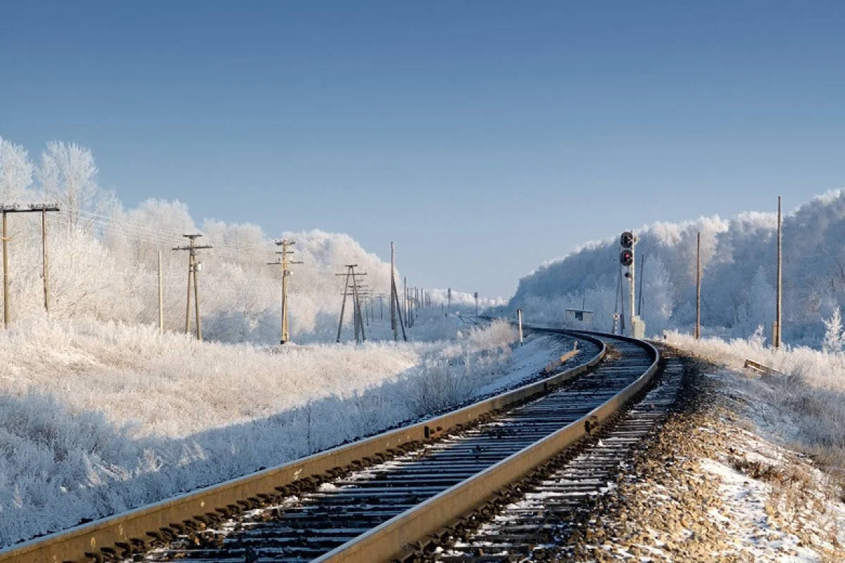 Фото: ашық дереккөзден