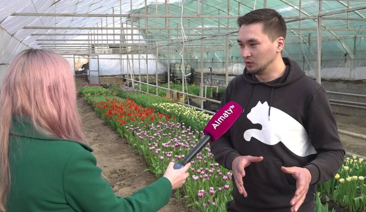 Almaty.tv