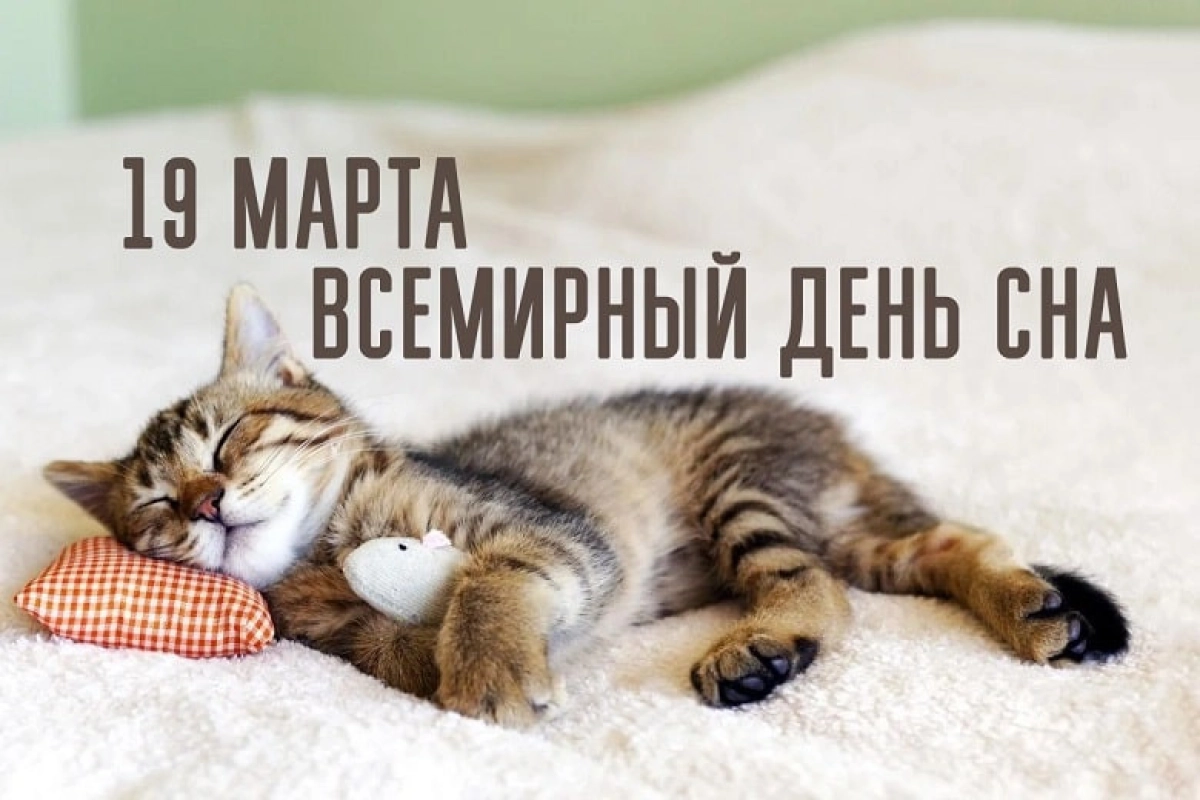 zen.yandex.by