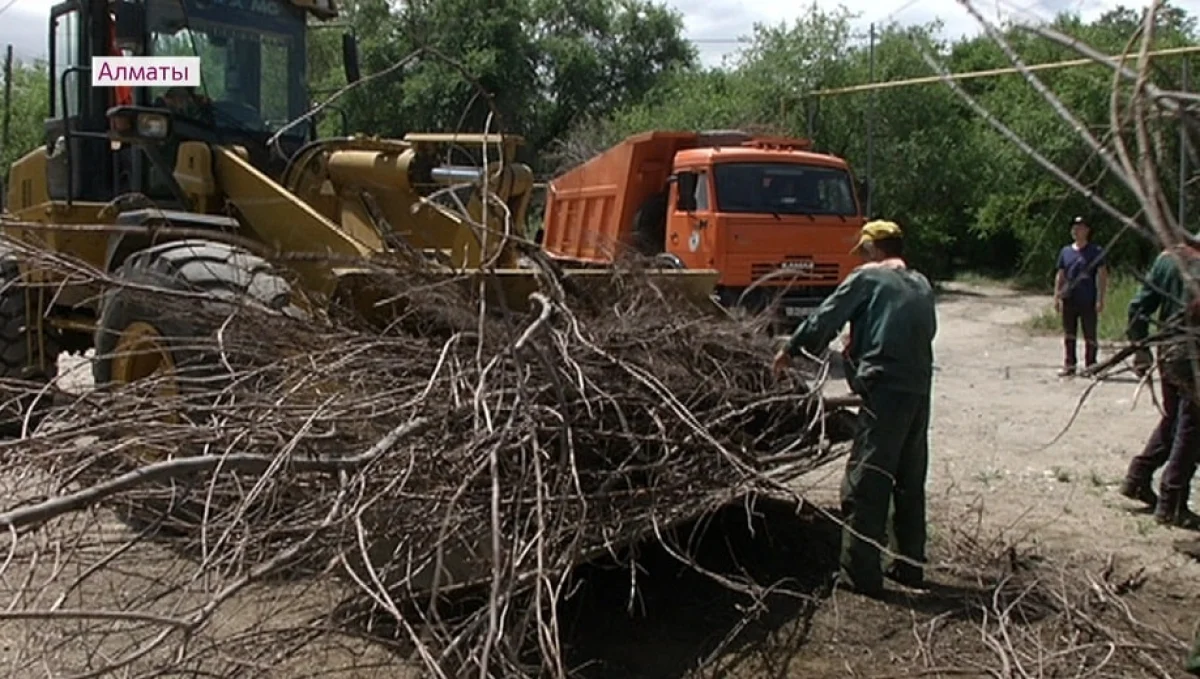  Almaty.tv. 