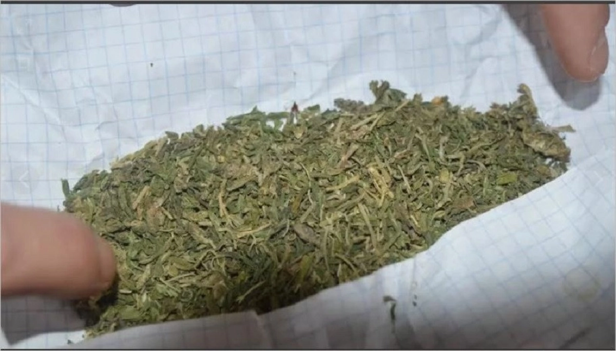 otyrar.kz