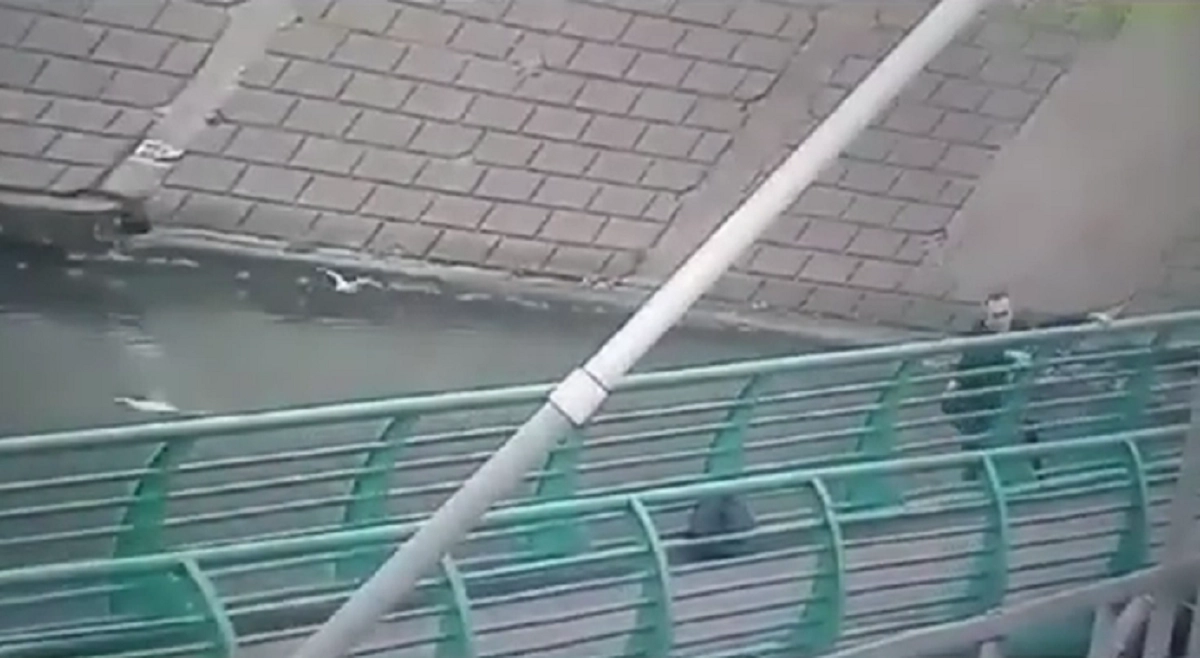 Видеодан кадр
