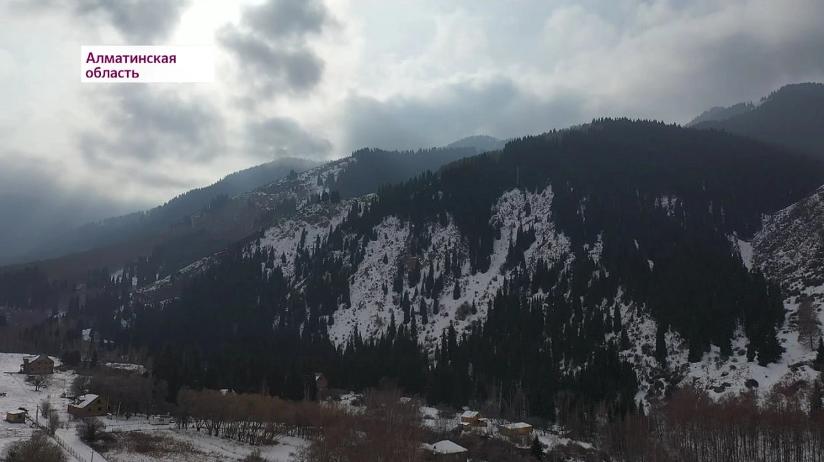 Almaty.tv