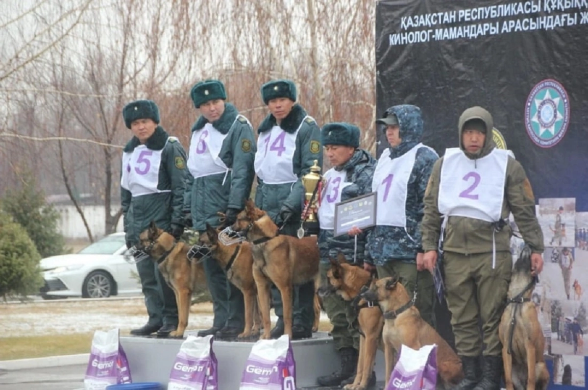 kp.kz