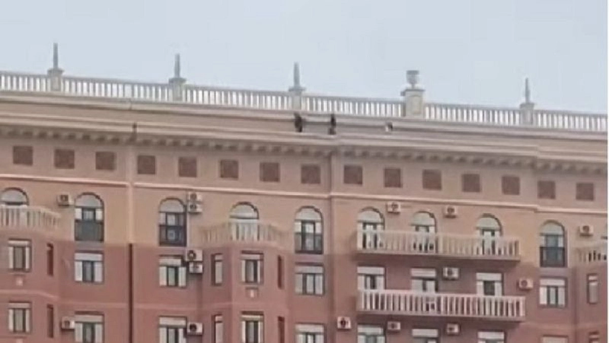 стоп кадр