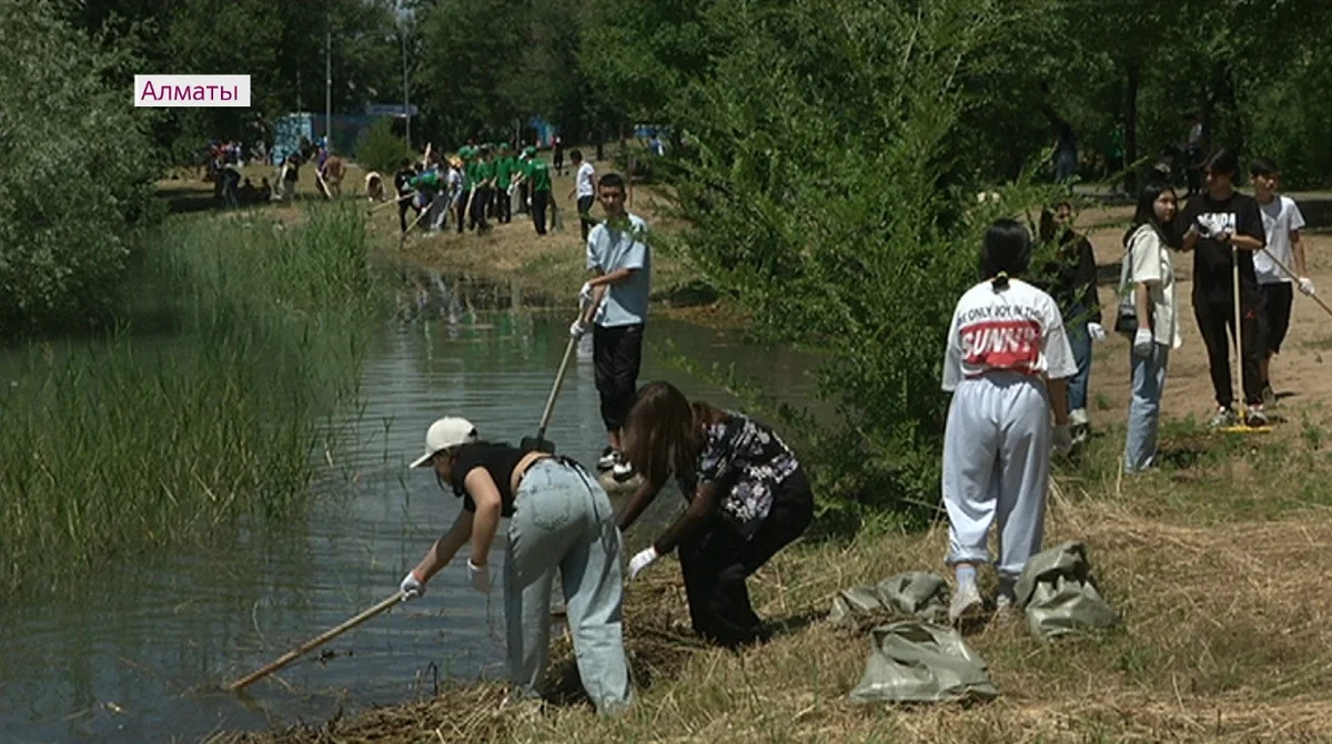 Almaty.tv