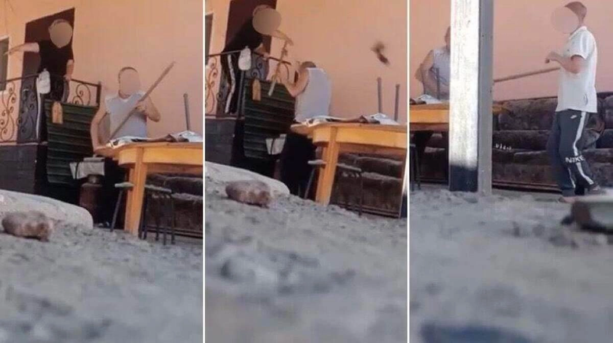 halyq-uni.kz
