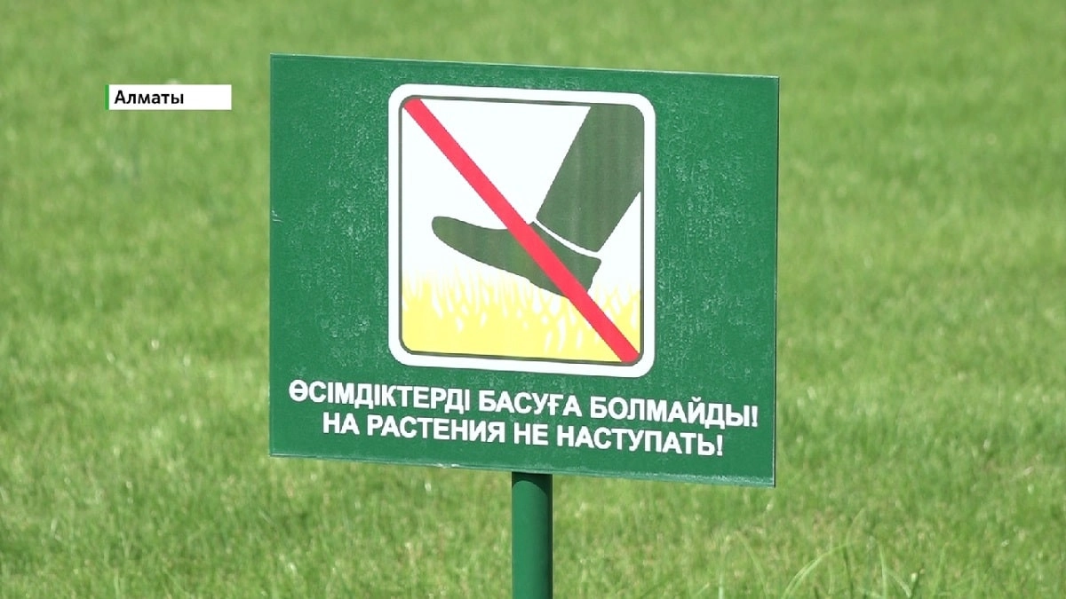 Almaty.tv