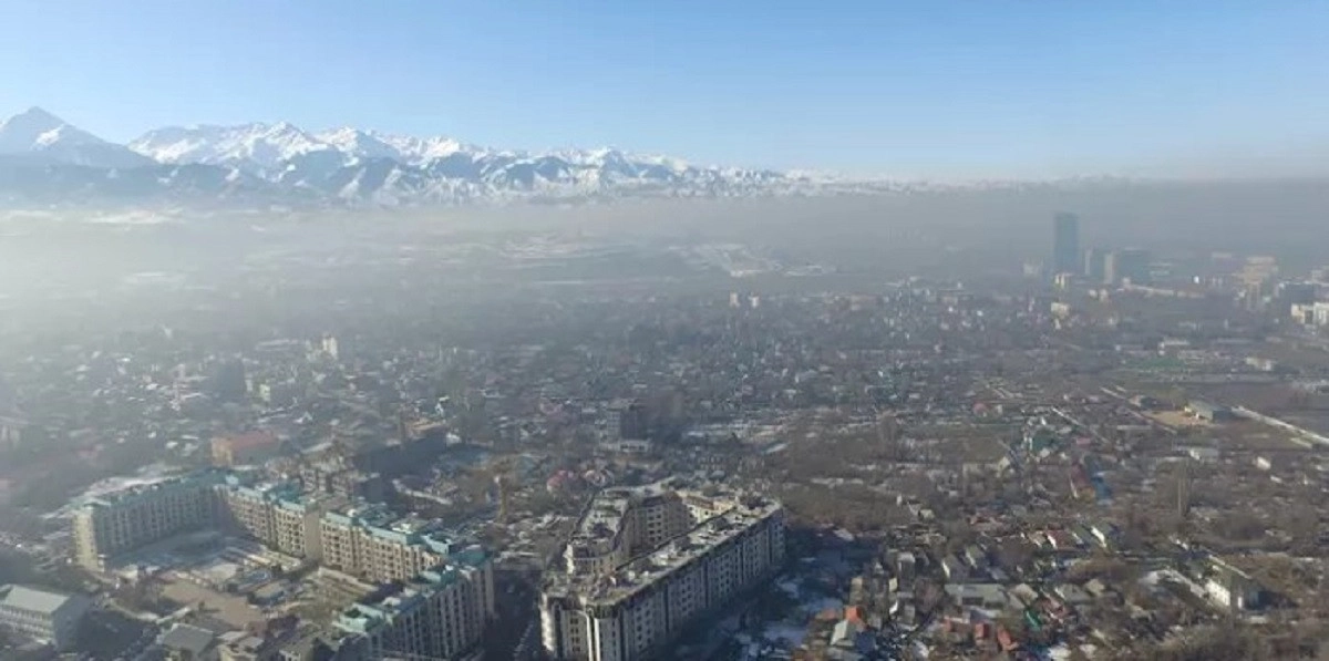 Фото: Петр Карандашов