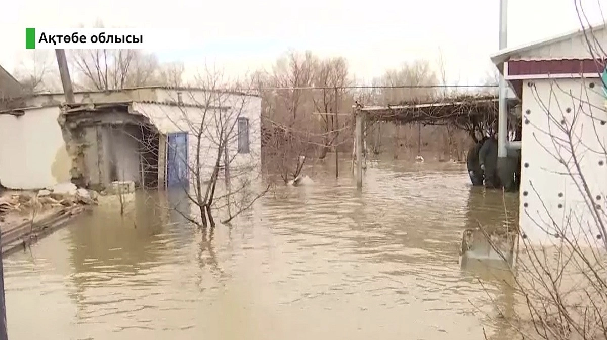 Almaty.tv