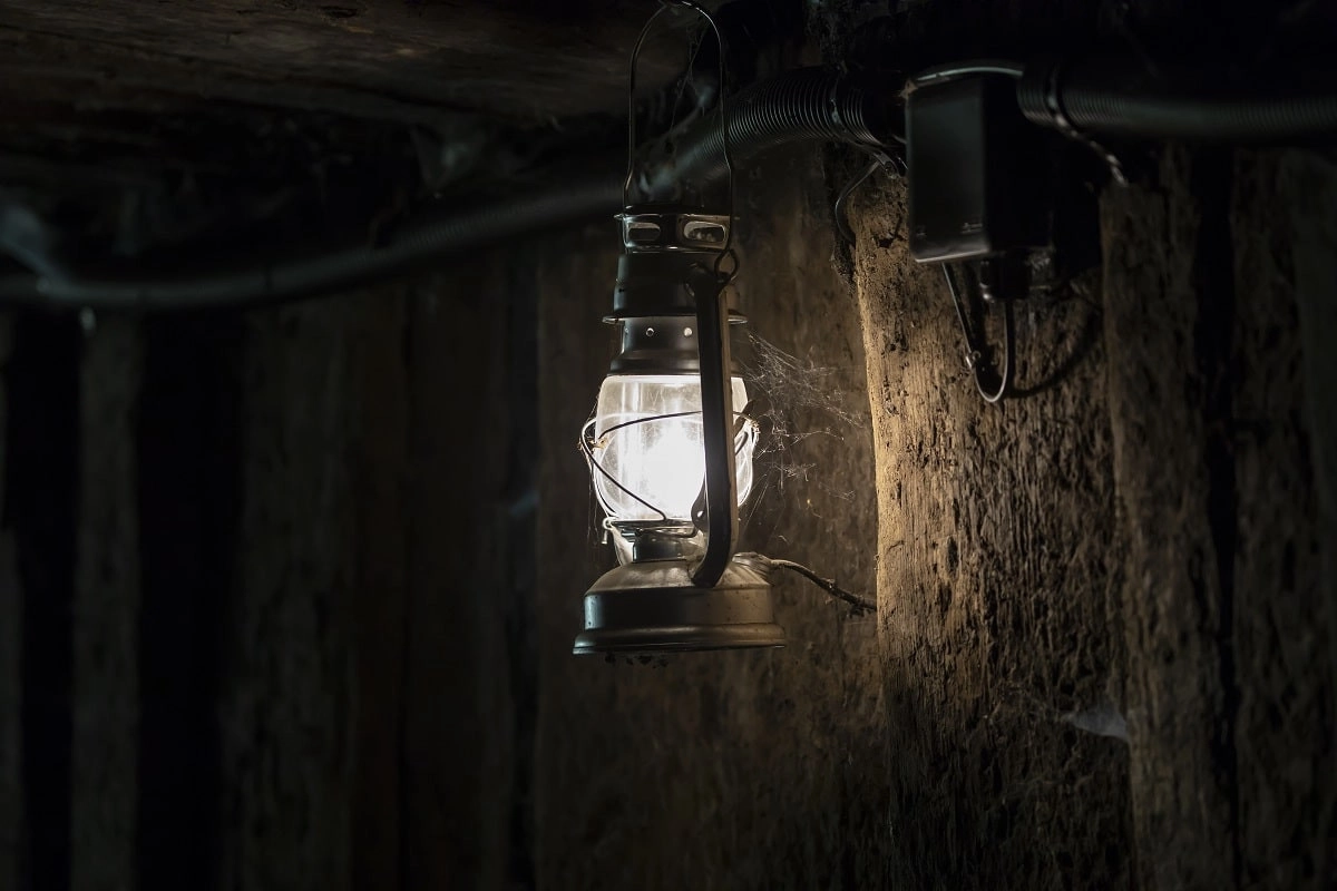 Сурет: elements.envato.com