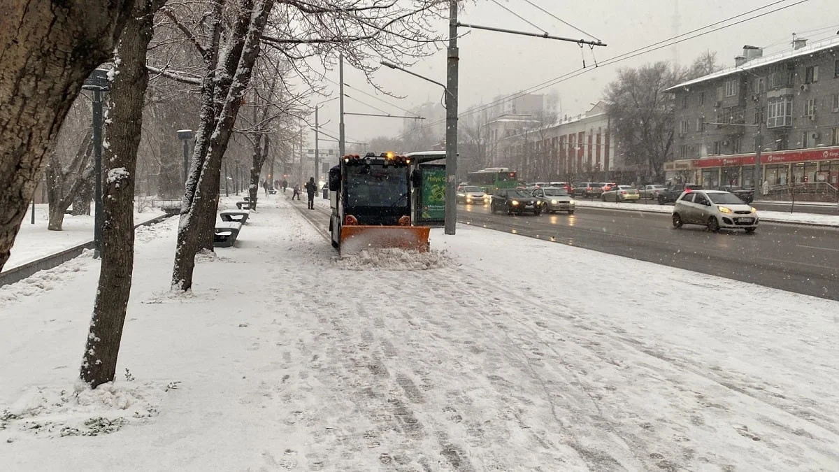 Сурет: Алматы әкімдігінің баспасөз қызметі 