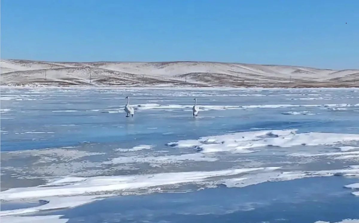 Фото: Баянауыл ұлттық паркі