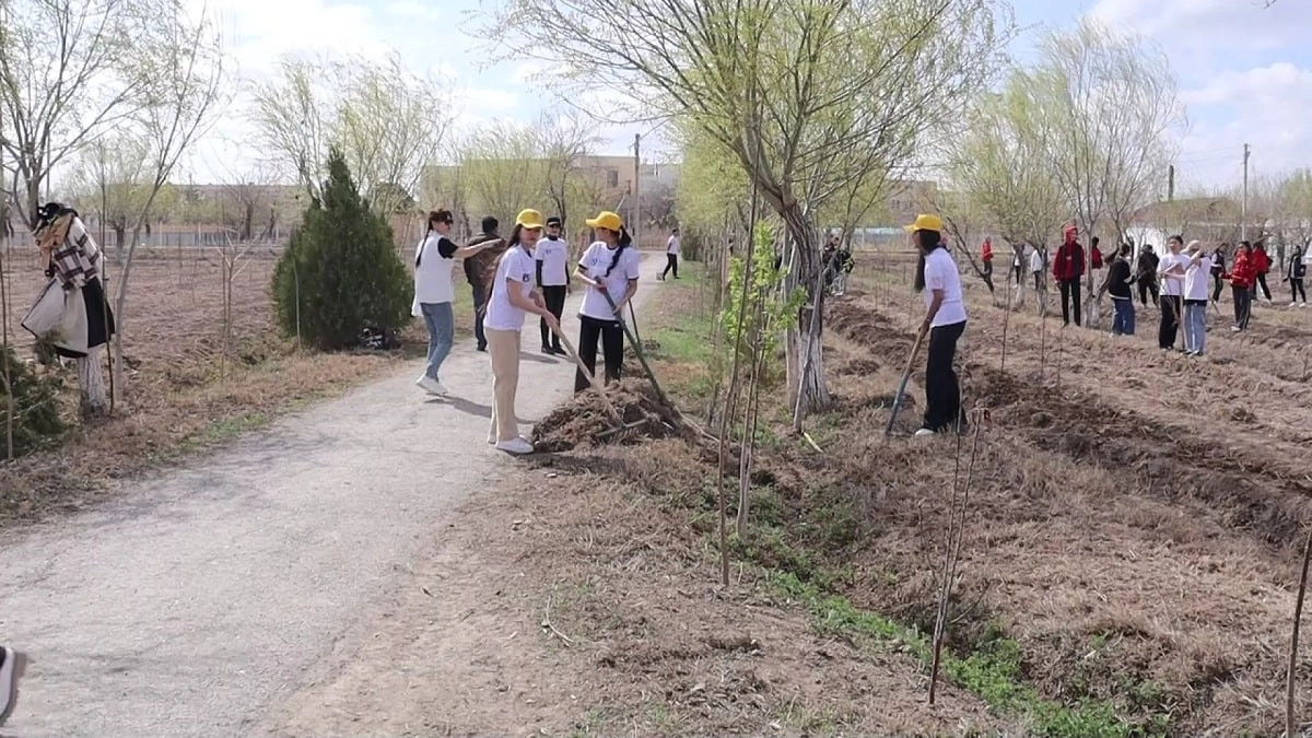 Almaty.tv