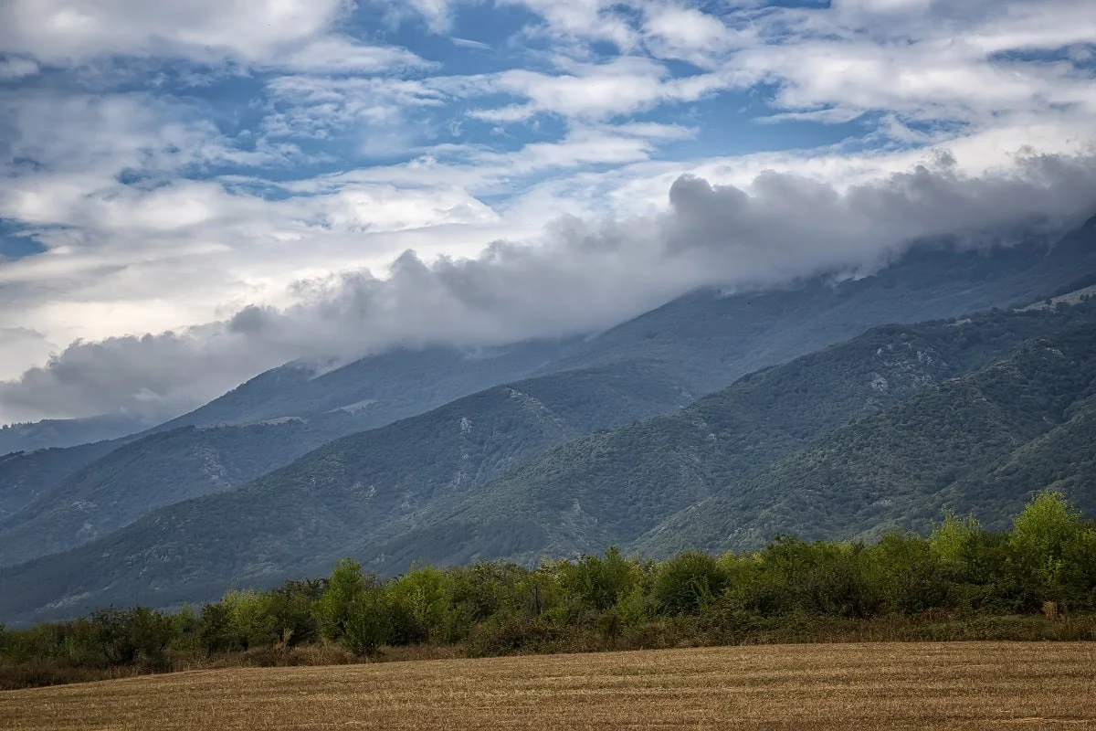 elements.envato.com