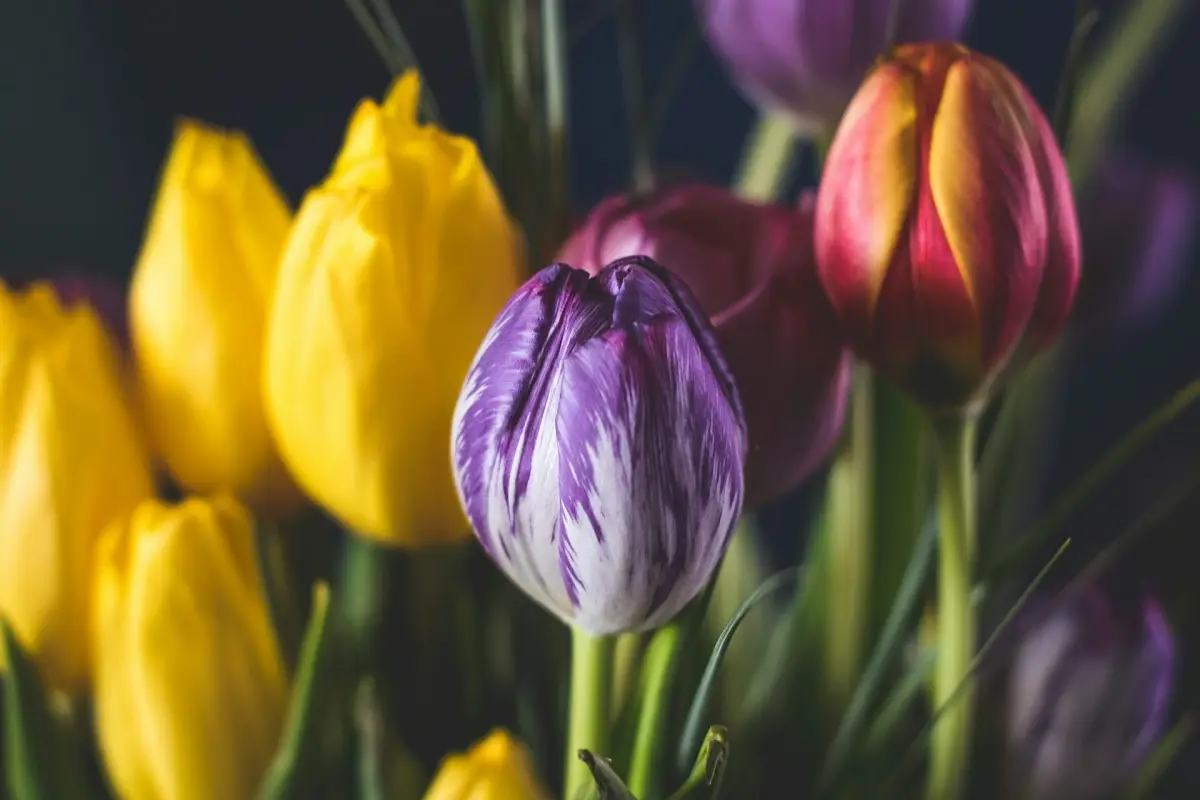 Photo by Sheelah Brennan on Unsplash
