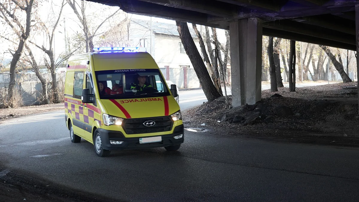 Рен ТВдан эротика