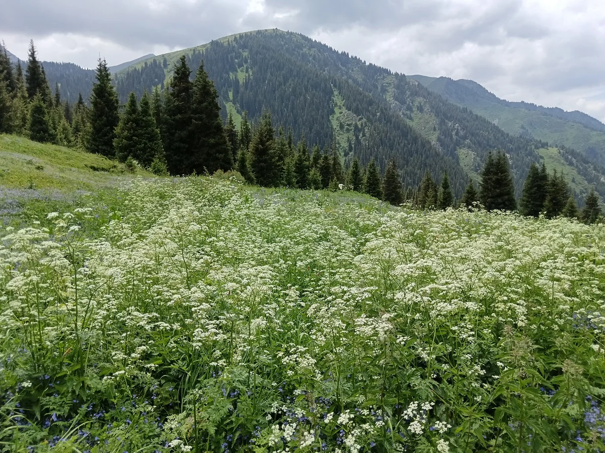 фото: Victor Glutsenko