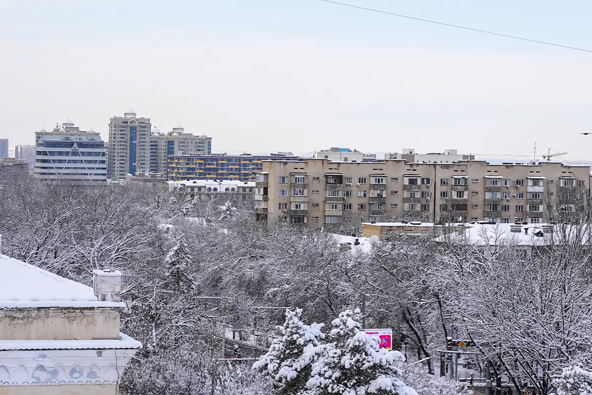 Almaty.tv