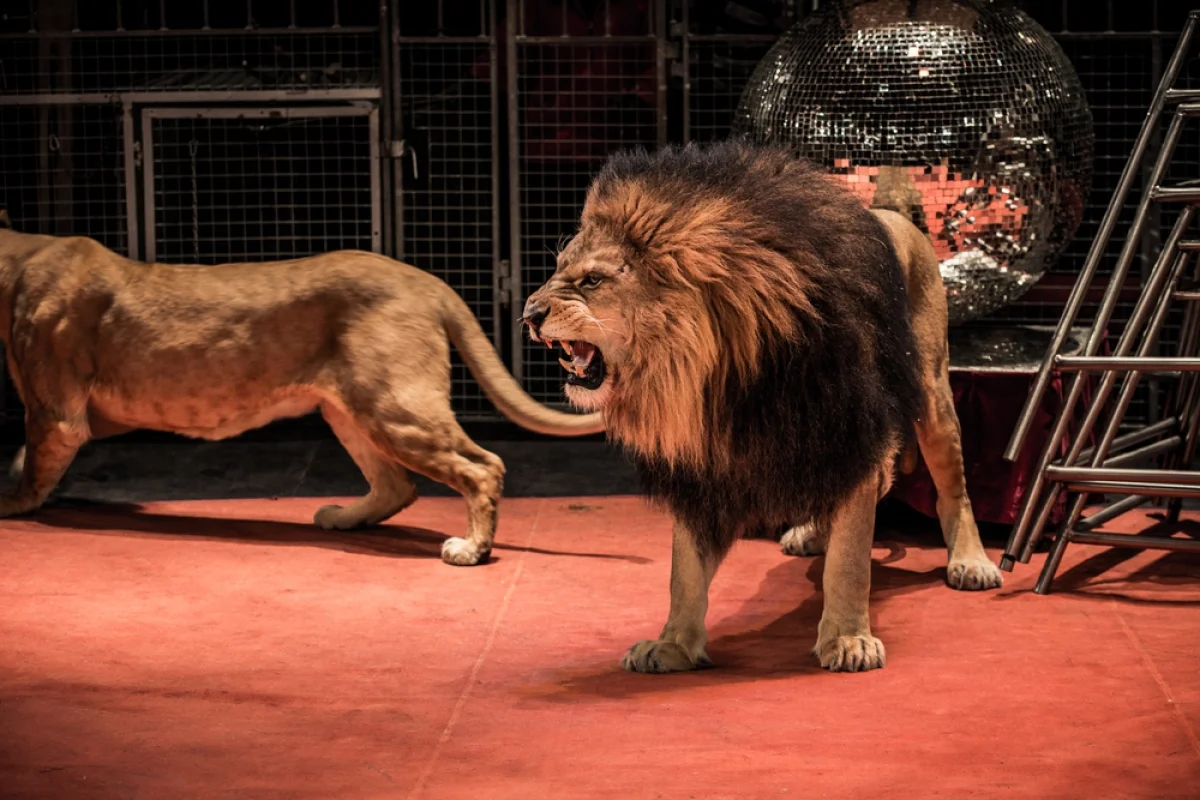 Фото: depositphotos.com