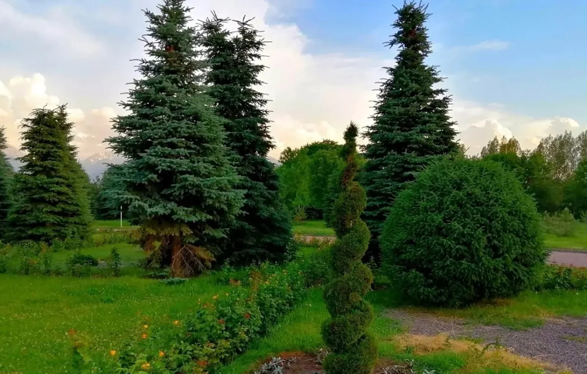 фото Victor Glutsenko