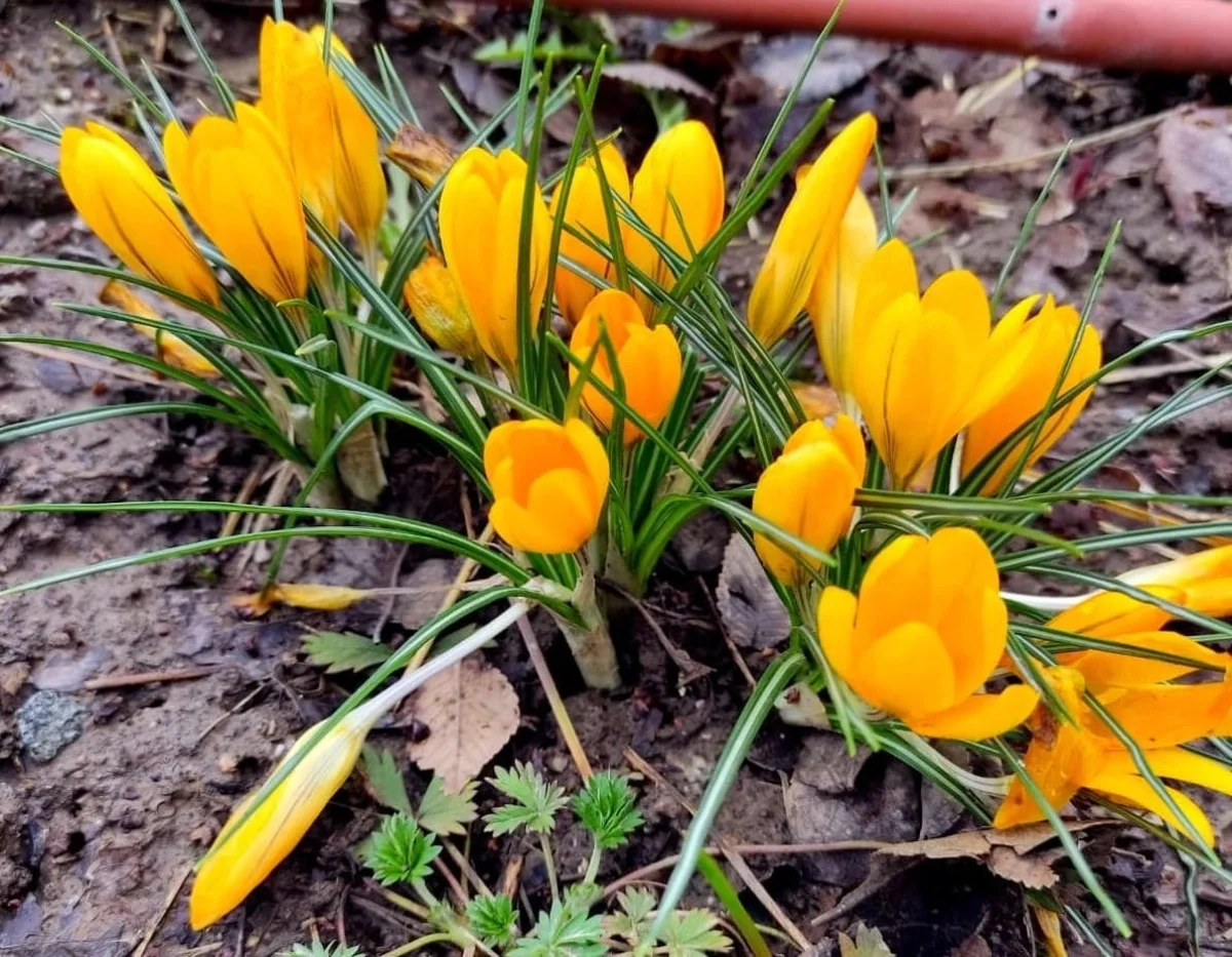 Фото: Victor Glutsenko