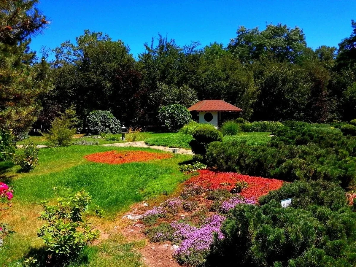 Фото: Victor Glutsenko