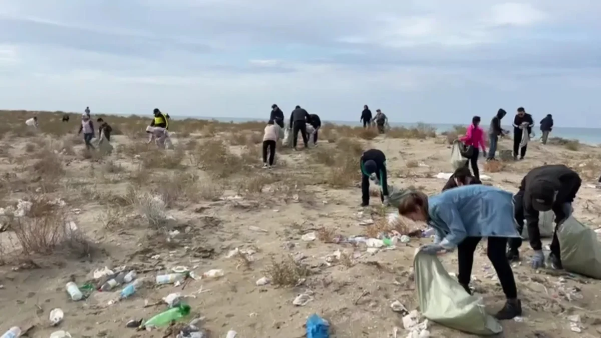 Порнозвезды порно gif