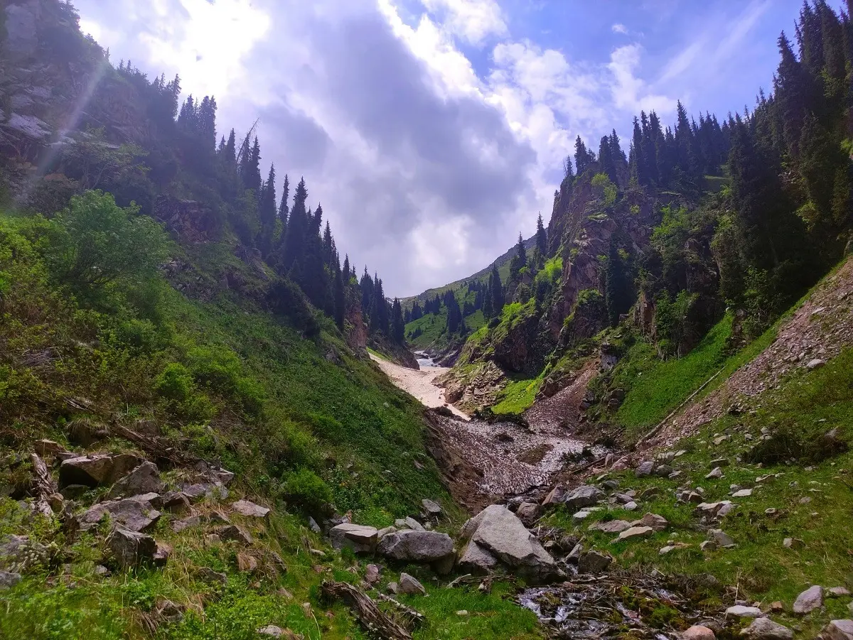 Almaty.tv