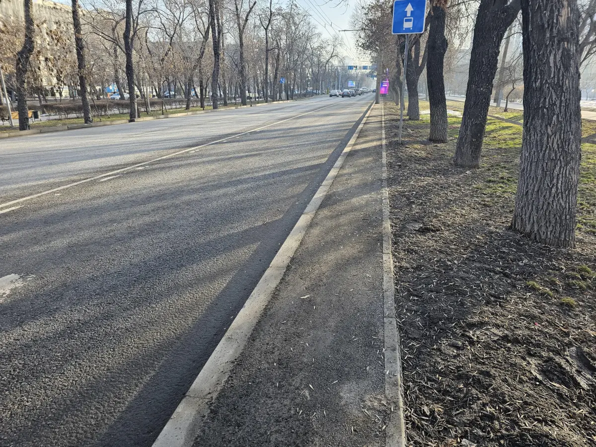 пресс-служба акима Алматы