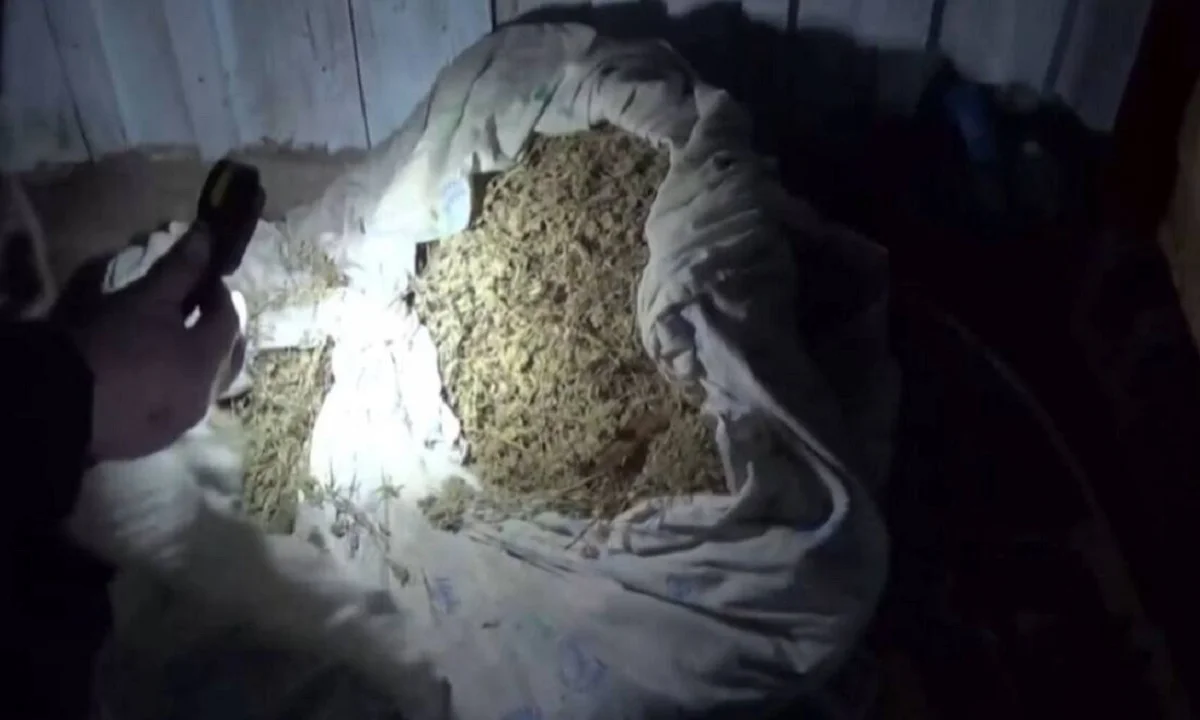 Фото: Polisia.kz