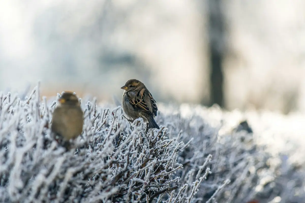 Photo by Genessa Panainte on Unsplash