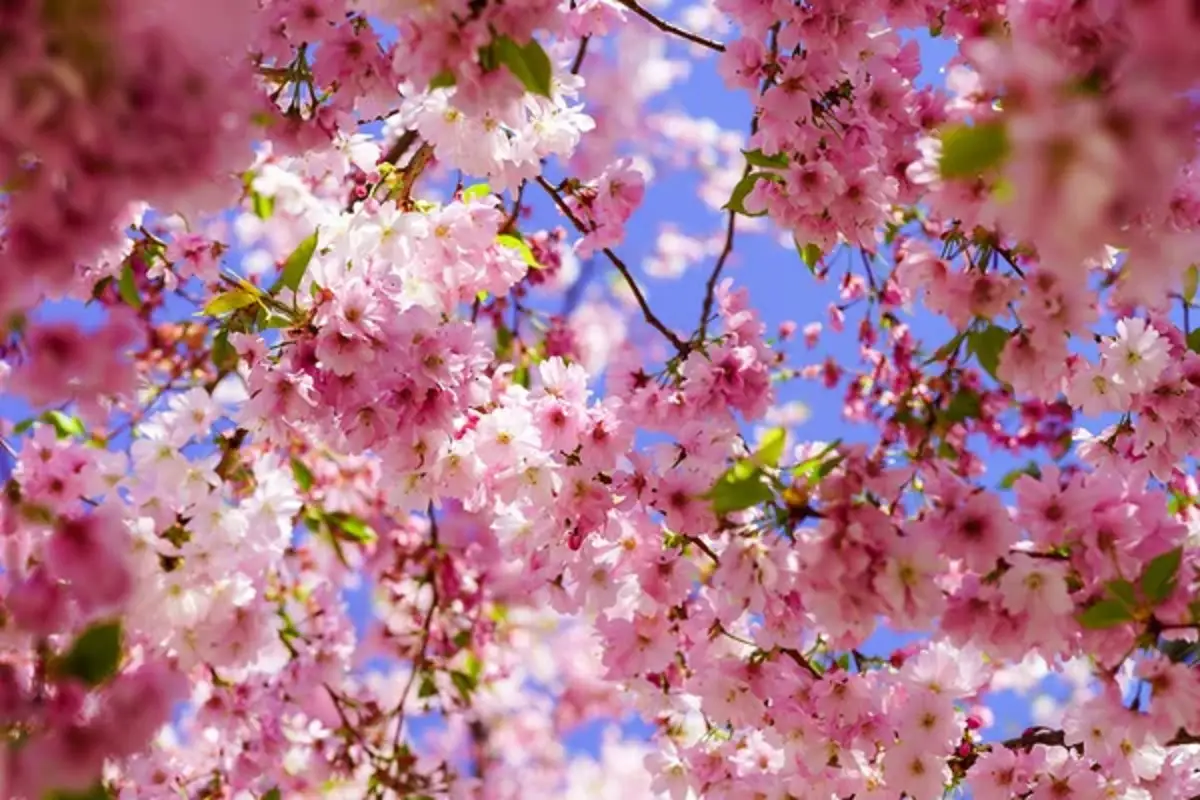 Depositphotos