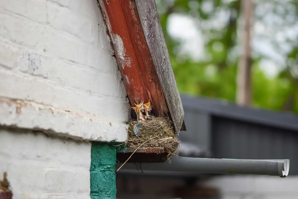 Photo by Dmitry Bukhantsov on Unsplash