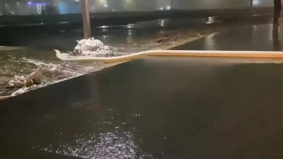 стоп кадр