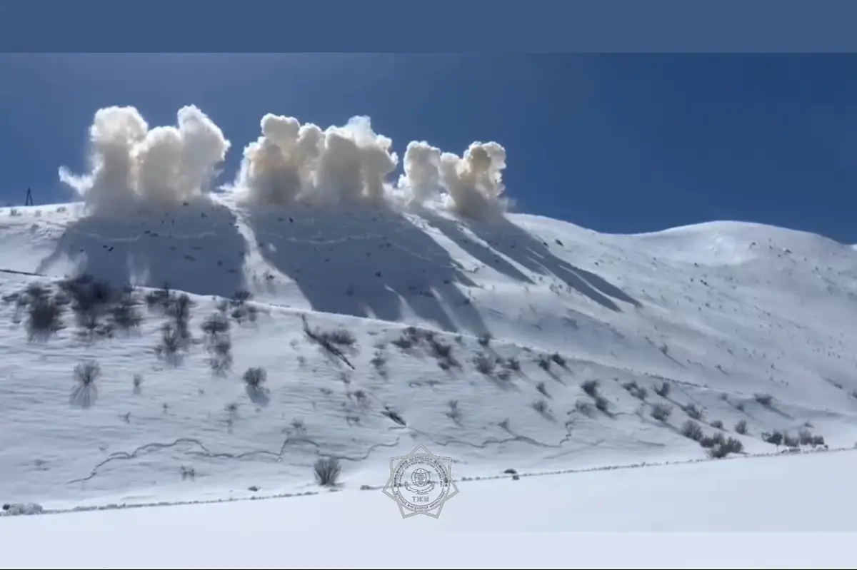 Кадр из видео МЧС РК